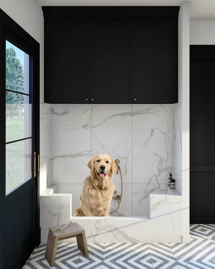 https://trinitile.com/images/news/3-Best-Tile-Materials-for-Pet-Owners.jpg