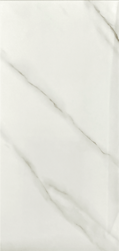 JA60110Q Calacatta Polished - 12X24