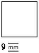 10 x 10